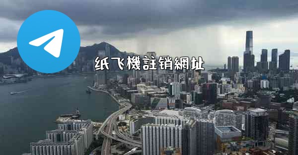 纸飞機註销網址