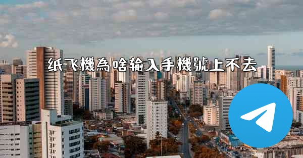 纸飞機為啥输入手機號上不去