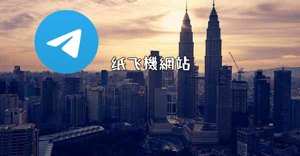 纸飞機網站