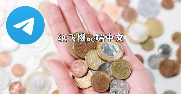 纸飞機pc端中文