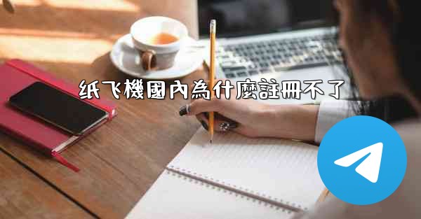 纸飞機國內為什麼註冊不了