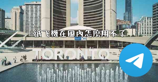 纸飞機在國內怎麼用不了