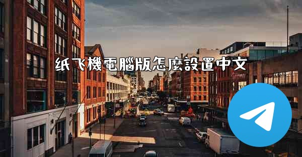 纸飞機電腦版怎麼設置中文