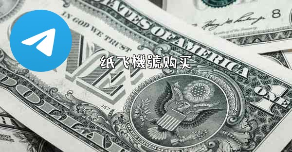 纸飞機號购买