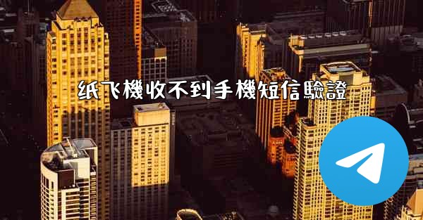 纸飞機收不到手機短信驗證