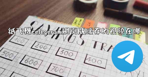 纸飞機telegeram網页版缓存的视频在哪