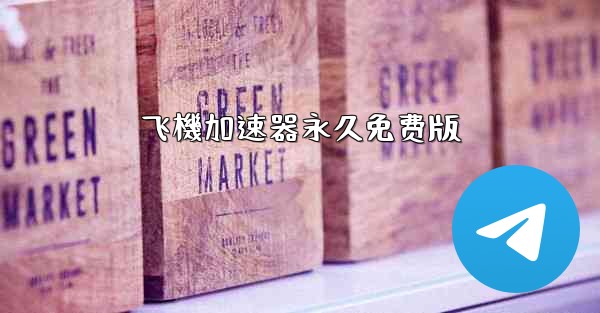 飞機加速器永久免费版