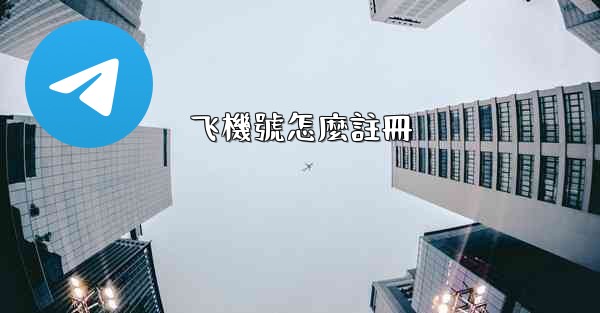 飞機號怎麼註冊
