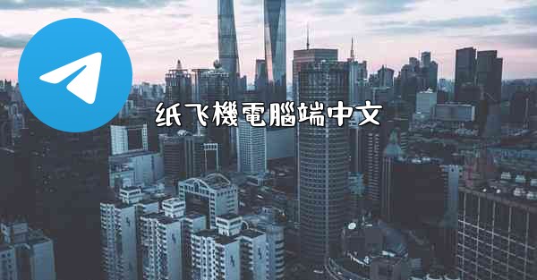 纸飞機電腦端中文