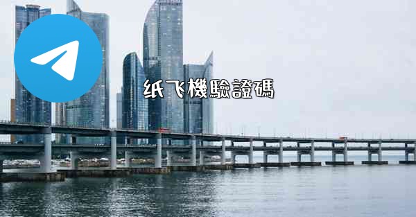纸飞機驗證碼