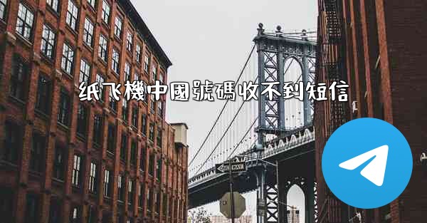 纸飞機中國號碼收不到短信