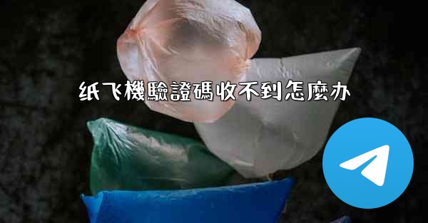 纸飞機驗證碼收不到怎麼办