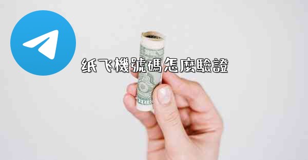 纸飞機號碼怎麼驗證