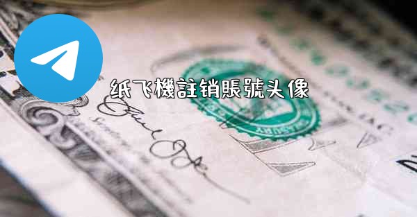 纸飞機註销賬號头像