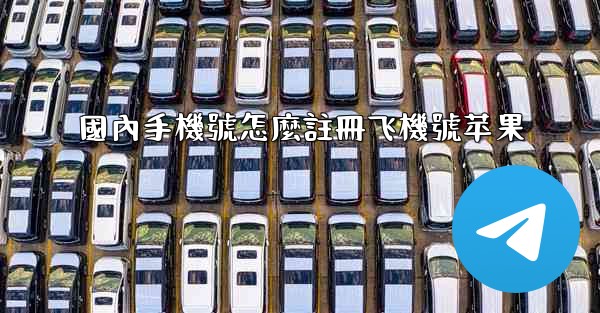 國內手機號怎麼註冊飞機號苹果