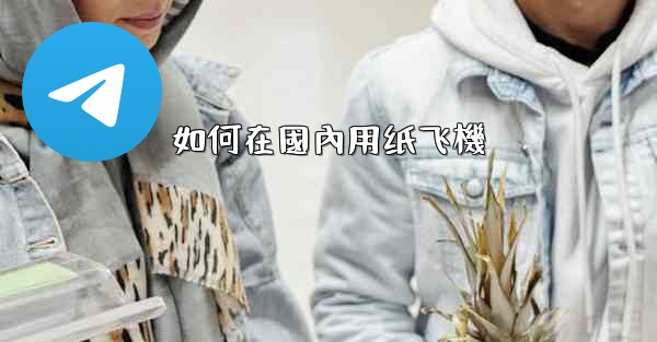 如何在國內用纸飞機