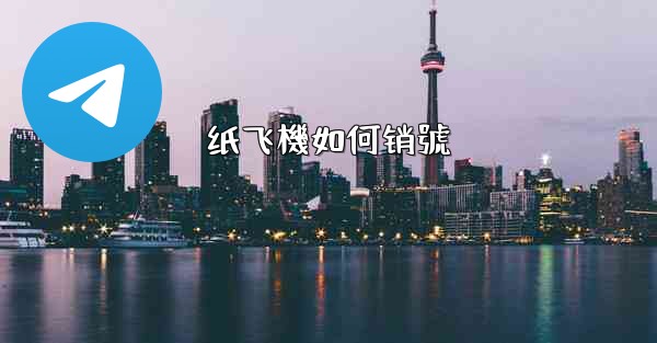 纸飞機如何销號