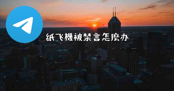 纸飞機被禁言怎麼办