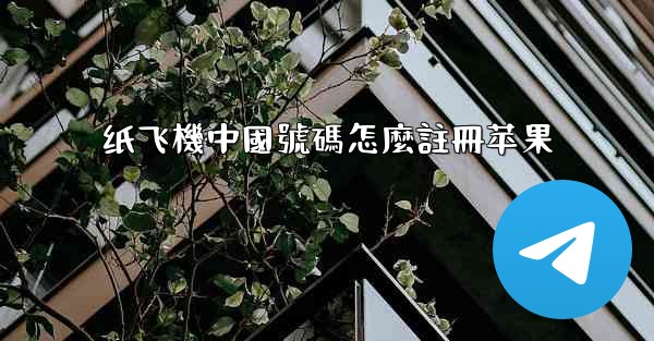 纸飞機中國號碼怎麼註冊苹果