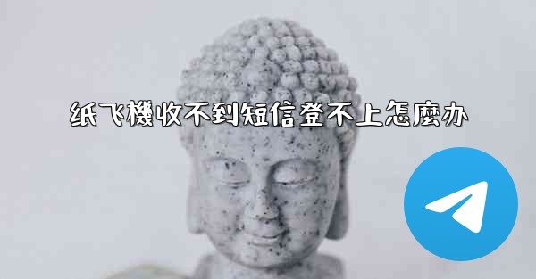 纸飞機收不到短信登不上怎麼办
