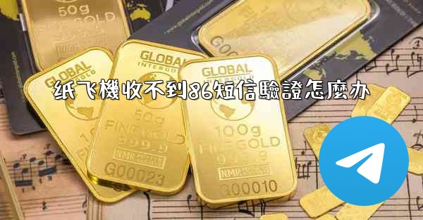 纸飞機收不到86短信驗證怎麼办