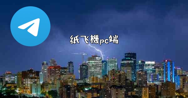 纸飞機pc端
