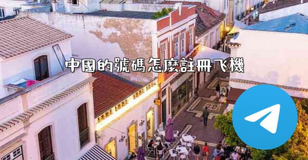 中國的號碼怎麼註冊飞機