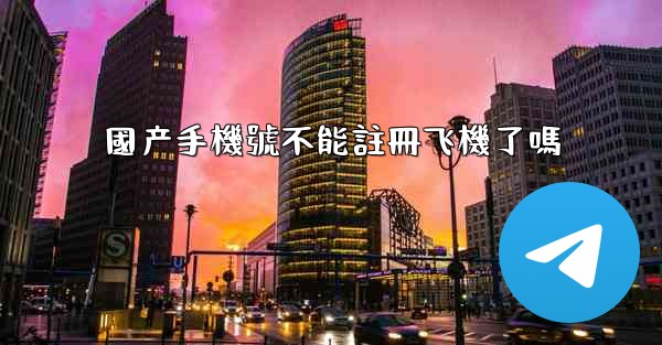 國产手機號不能註冊飞機了嗎