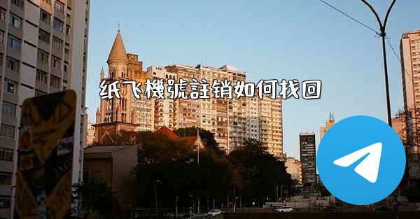 纸飞機號註销如何找回