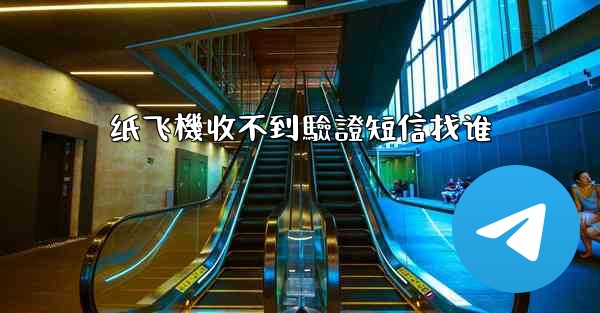 纸飞機收不到驗證短信找谁