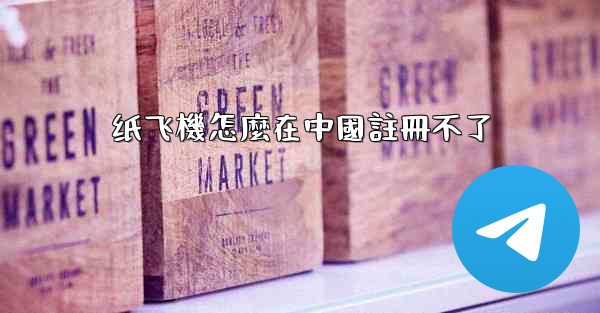 纸飞機怎麼在中國註冊不了