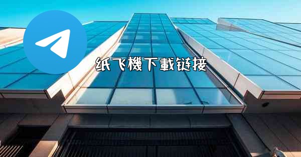 纸飞機下載链接