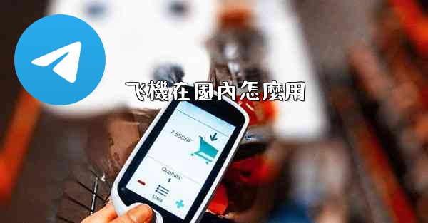 飞機在國內怎麼用