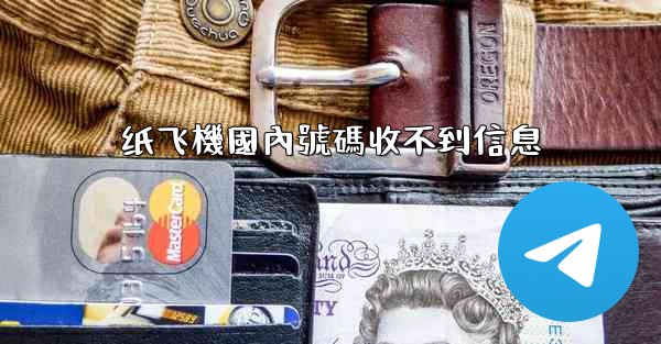 纸飞機國內號碼收不到信息