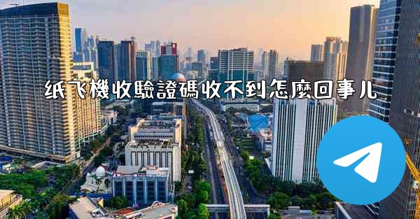 纸飞機收驗證碼收不到怎麼回事儿