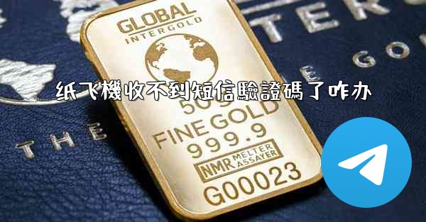 纸飞機收不到短信驗證碼了咋办