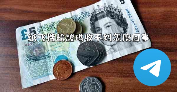 纸飞機驗證碼收不到怎麼回事