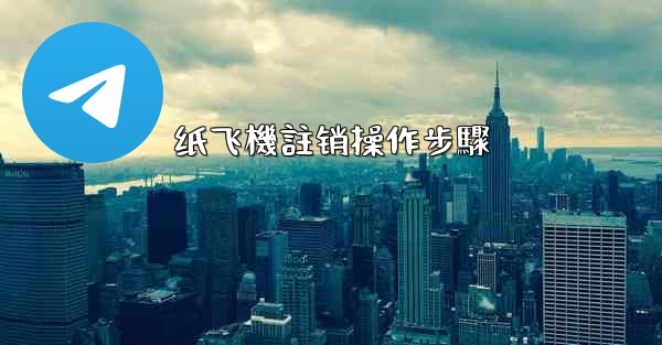 纸飞機註销操作步驟