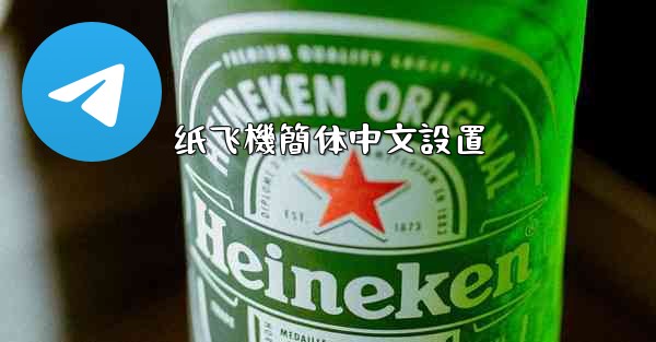 纸飞機簡体中文設置