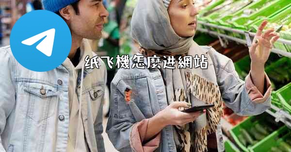 纸飞機怎麼进網站