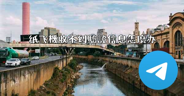 纸飞機收不到驗證信息怎麼办