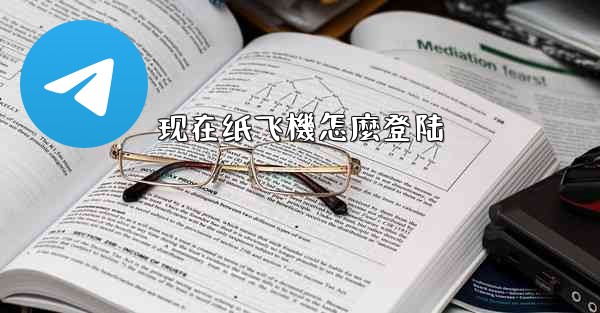 现在纸飞機怎麼登陆