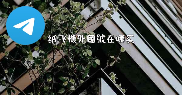 纸飞機外國號在哪买