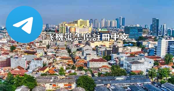 飞機號怎麼註冊中文