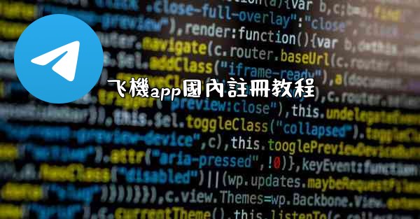 飞機app國內註冊教程