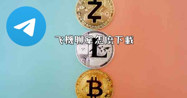 飞機聊單怎麼下載