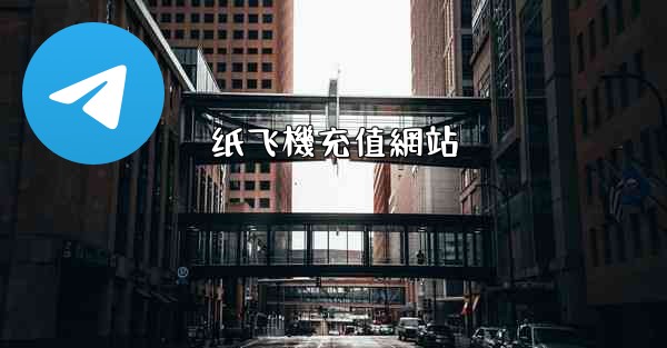 纸飞機充值網站