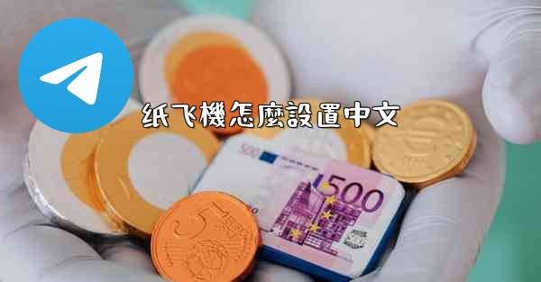 纸飞機怎麼設置中文