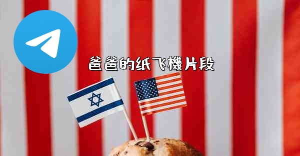 爸爸的纸飞機片段