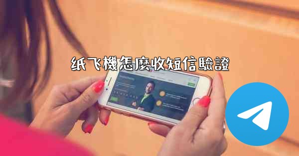 纸飞機怎麼收短信驗證